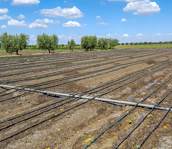 Equipement interne d'irrigation (Bornes d'irrigation) Aqulatis